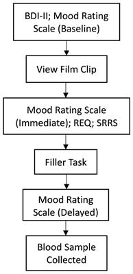 Sex Hormones Are Associated With Rumination and Interact With Emotion Regulation Strategy Choice to Predict Negative Affect in Women Following a Sad Mood Induction